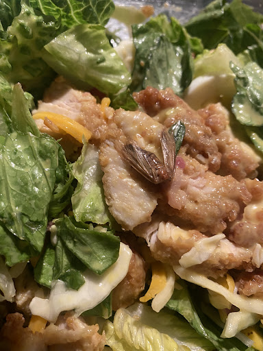 Fast Food Restaurant «Chick-fil-A», reviews and photos, 1301 E 120th Ave, Thornton, CO 80233, USA