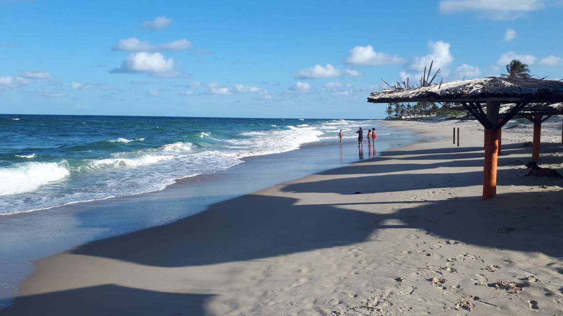 Praia de Genipabu photo #9