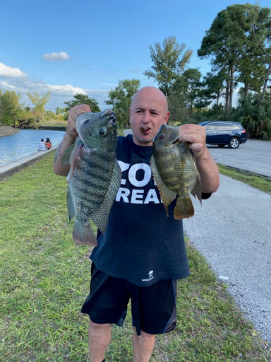 Bird Shop «Gallegos Pet Shop», reviews and photos, 3131 W 80th St, Hialeah, FL 33018, USA