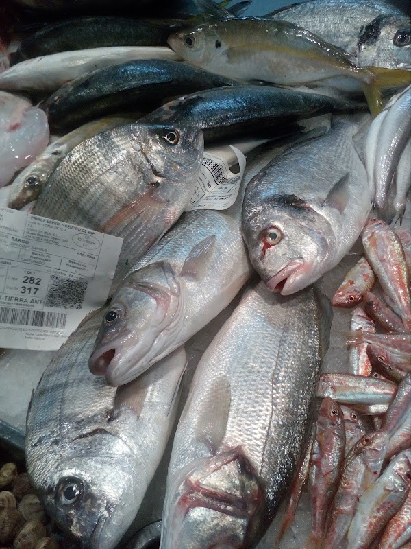 pescaderia SORIA
