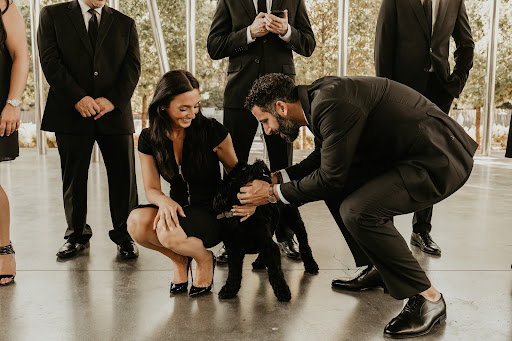 Law Firm «Shamieh Law», reviews and photos