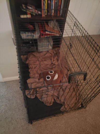 Department Store «Walmart Supercenter», reviews and photos, 516 School House Rd, Kennett Square, PA 19348, USA