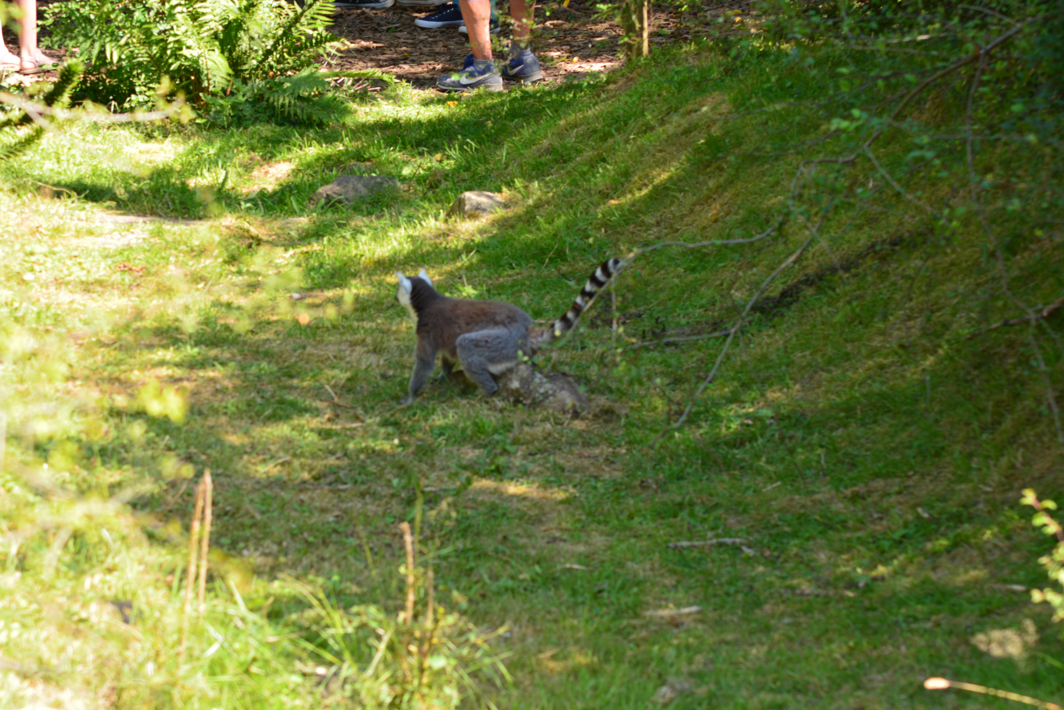 Photo n° 13 de l'avis de Sabine.A fait le 09/07/2021 à 18:31