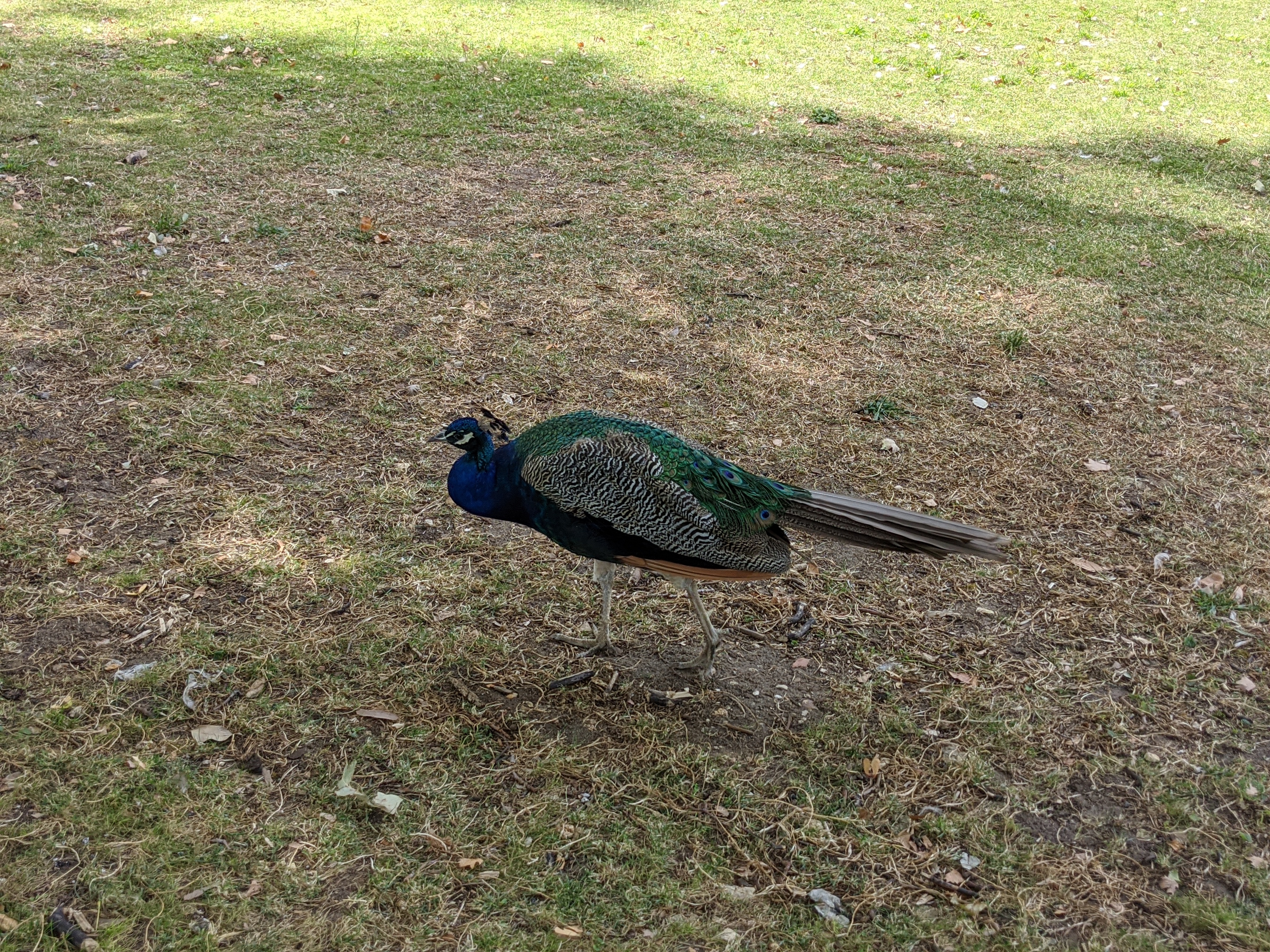 Photo n° 6 de l'avis de Ido.a fait le 02/08/2020 à 14:34