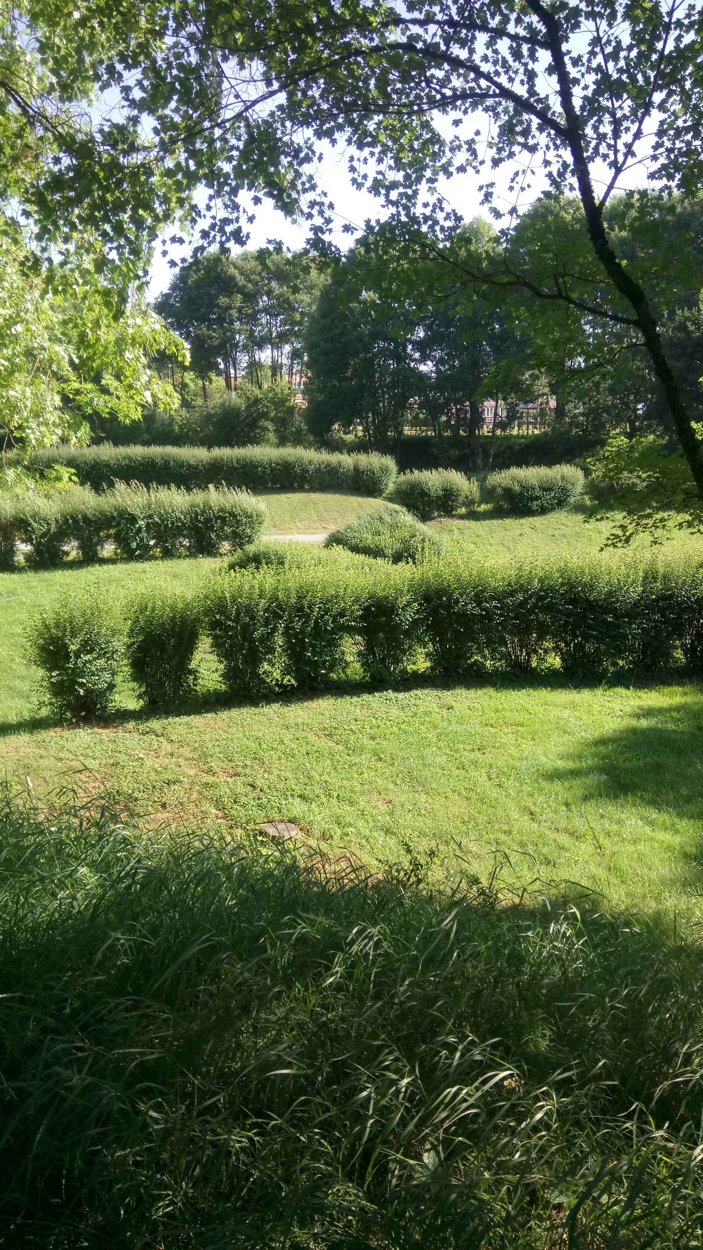Photo n° 2 de l'avis de MARC30.a fait le 18/06/2017 à 10:43