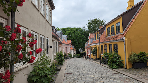 Nordic Hair in Odense C, Odense