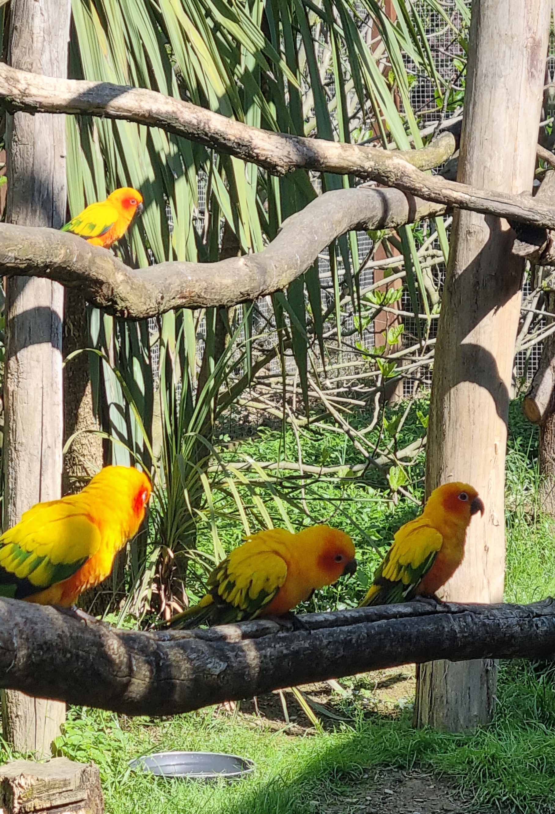 Photo n° 44 de l'avis de Anne.a fait le 25/04/2022 à 13:04