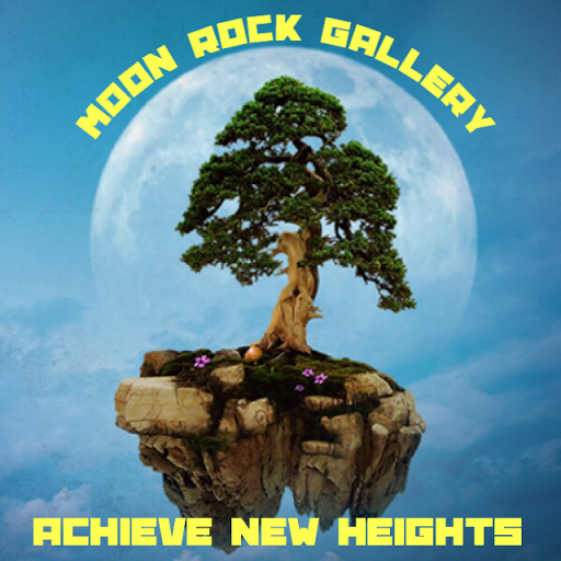 Gift Shop «Moon Rock Gallery & Smoke Shop», reviews and photos, 431 Ogden Ave, Downers Grove, IL 60515, USA