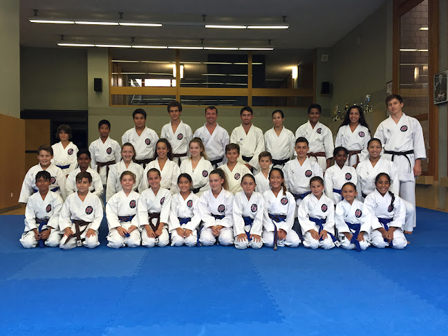 Ippon Karate Club Tivoli - Geneva Öffnungszeiten