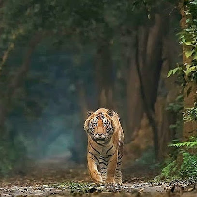 Dudhwa National Park & Tiger Reserve