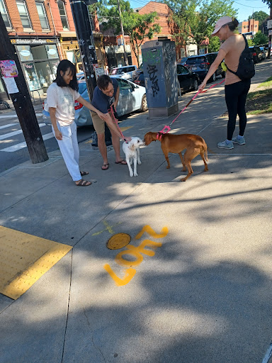 Bridal Shop «Clarissa Boutique», reviews and photos, 1700 E Carson St, Pittsburgh, PA 15203, USA