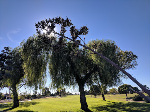 Golf Course «Willow Creek Golf Course», reviews and photos, 10600 N Boswell Blvd, Sun City, AZ 85351, USA