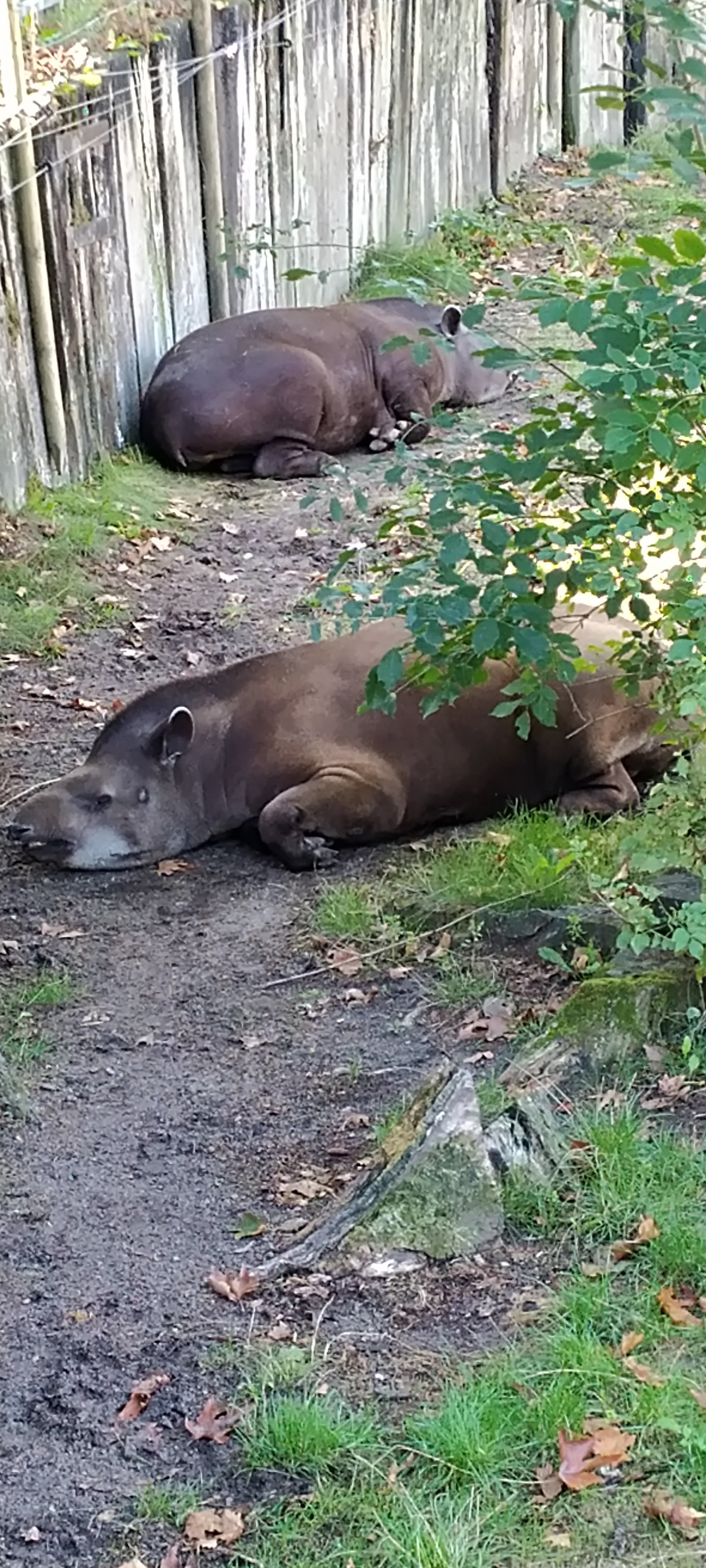 Photo n° 10 de l'avis de Bernard.e fait le 12/09/2022 à 09:16