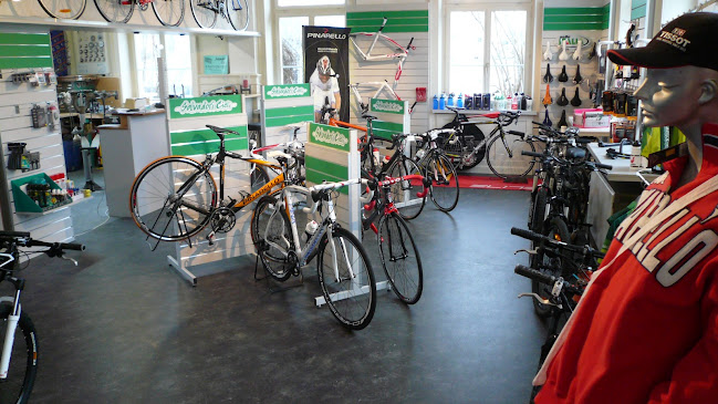 Salvadori Cicli Schottikon