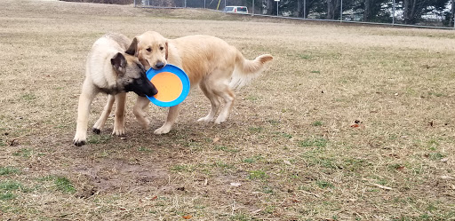 Pet Supply Store «Bark!», reviews and photos, 2101 Somerville Rd, Annapolis, MD 21401, USA