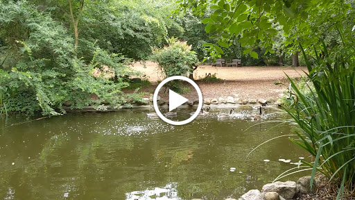 Descanso Gardens image