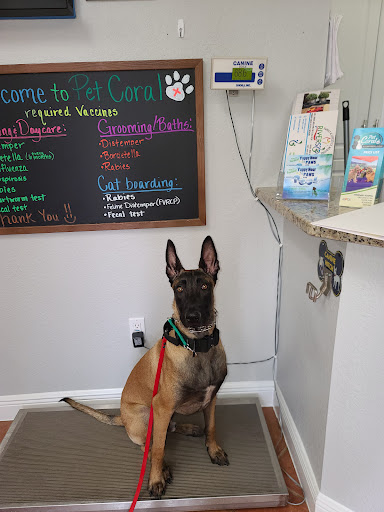 Veterinarian «PetCoral Resort and Veterinary», reviews and photos, 924 Del Prado Blvd, Cape Coral, FL 33990, USA
