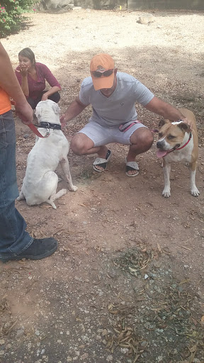 Pet Supply Store «PetSmart», reviews and photos, 857 N Val Vista Dr #106, Gilbert, AZ 85234, USA