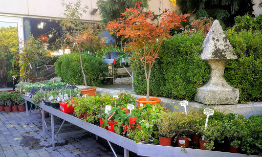 Centro de Jardinería Bourguignon