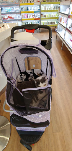 Hair Salon «Ulta Beauty», reviews and photos, 1050 W 78th St, Richfield, MN 55423, USA