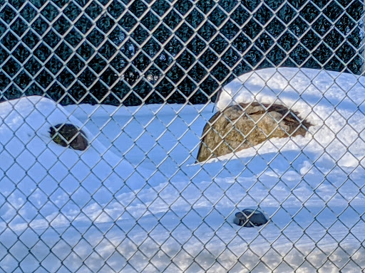 Golf Course «Kissena Park Golf Course», reviews and photos, 164-15 Booth Memorial Ave, Fresh Meadows, NY 11365, USA