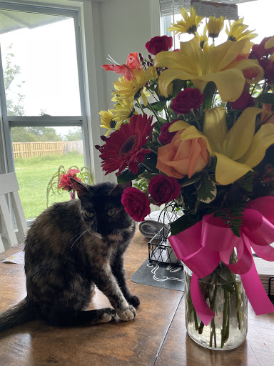 Florist «Flowers by Pam», reviews and photos, 2003 Wilson Ave, Panama City, FL 32405, USA