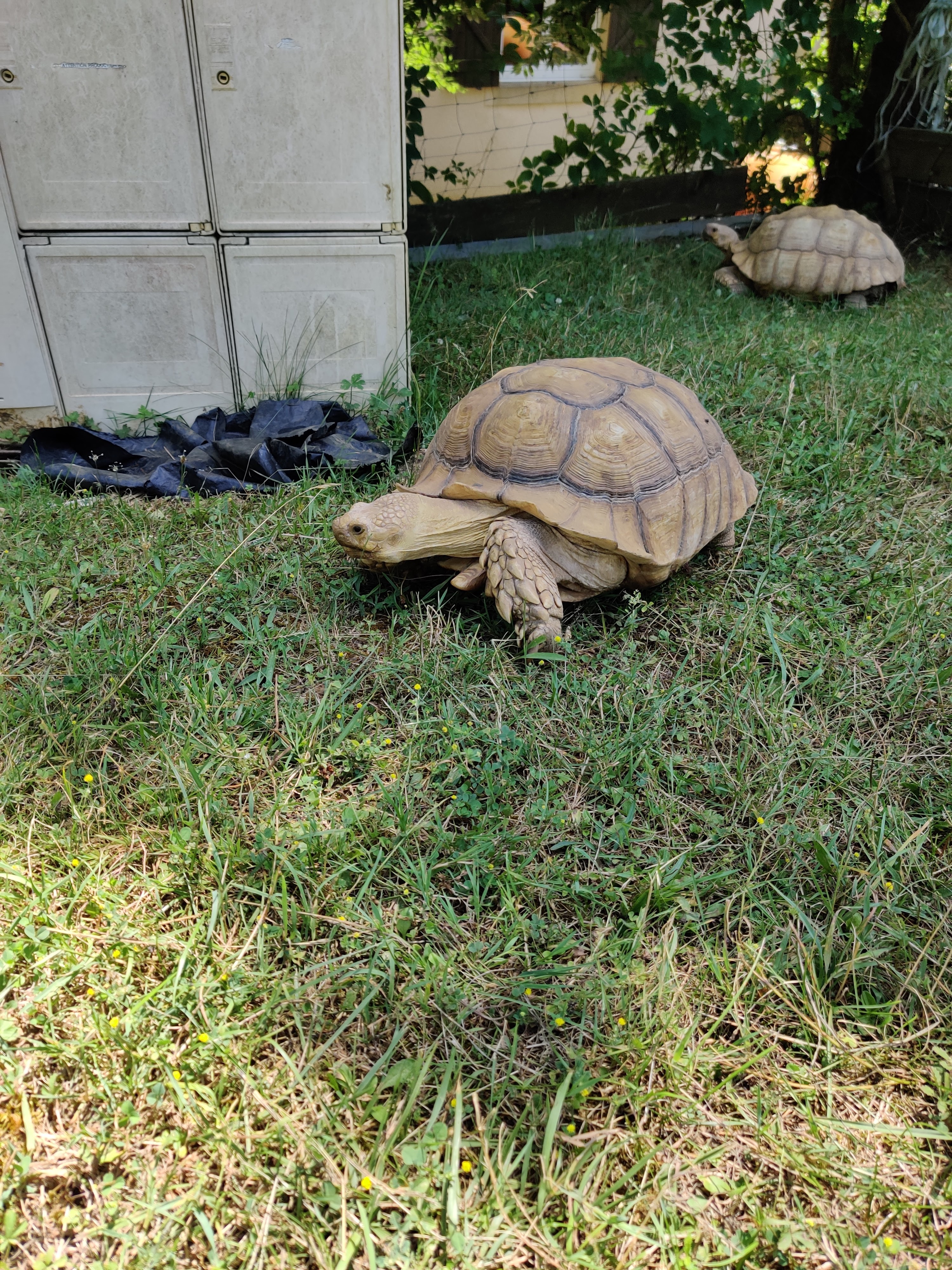 Photo n° 3 de l'avis de christophe.r fait le 09/07/2021 à 14:21