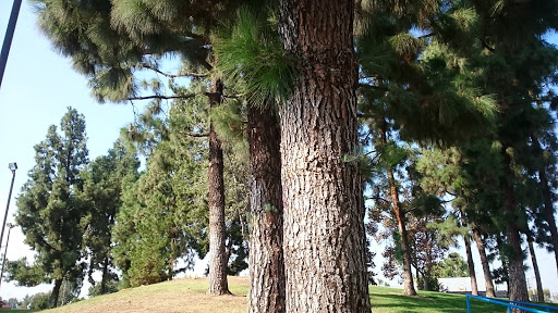 Park «Smith Park», reviews and photos, 6016 Rosemead Blvd, Pico Rivera, CA 90660, USA