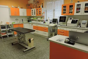 Veterinary clinic Tetčice image