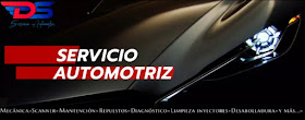 DS AUTOMOTRIZ