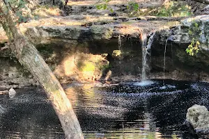 Falling Creek Falls image