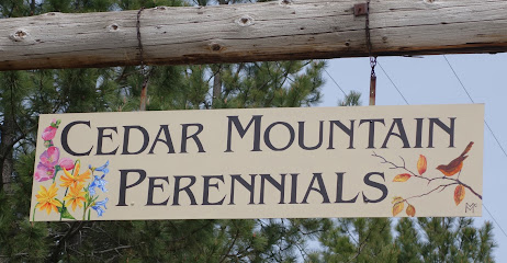 Cedar Mountain Perennials