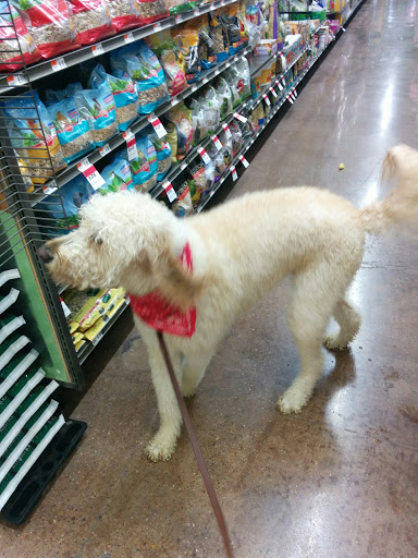 Pet Supply Store «Pet Supplies Plus», reviews and photos, 1704 Greenville Ave, Dallas, TX 75206, USA