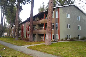 Tree Top Apartments image