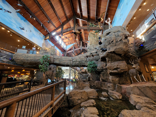 Sporting Goods Store «Bass Pro Shops», reviews and photos, 1133 N Dobson Rd, Mesa, AZ 85201, USA