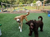 Domestic Pet Care - Photo 7 - Car repair in Millersville, MD, Baltimore