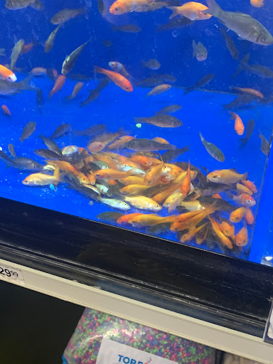 Pet Supply Store «PetSmart», reviews and photos, 8014 Old Carriage Ct, Shakopee, MN 55379, USA