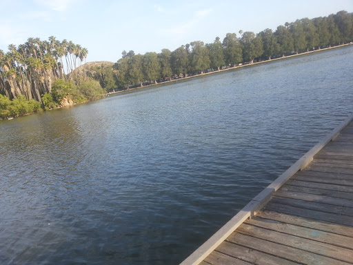 Golf Course «Fairmount Golf Course», reviews and photos, 2681 Dexter Dr, Riverside, CA 92501, USA