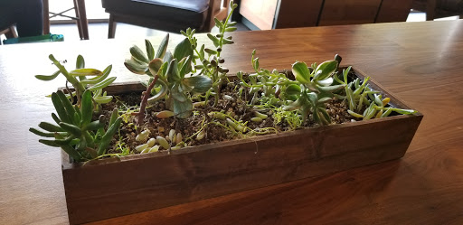 Starbucks image