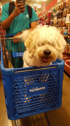 Pet Supply Store «PetSmart», reviews and photos, 3347 E Foothill Blvd, Pasadena, CA 91107, USA