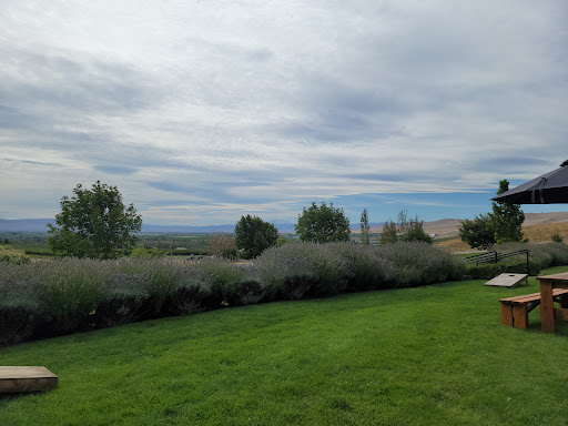 Winery «Owen Roe», reviews and photos, 309 Gangl Rd, Wapato, WA 98951, USA