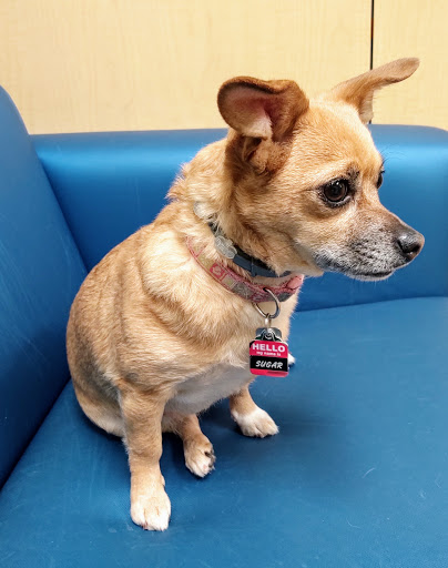 Pet Supply Store «PetSmart», reviews and photos, 131 Town Center Rd, King of Prussia, PA 19406, USA