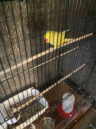 Pet Store «Pet Source 1901», reviews and photos, 1901 W 8th St B, Los Angeles, CA 90057, USA