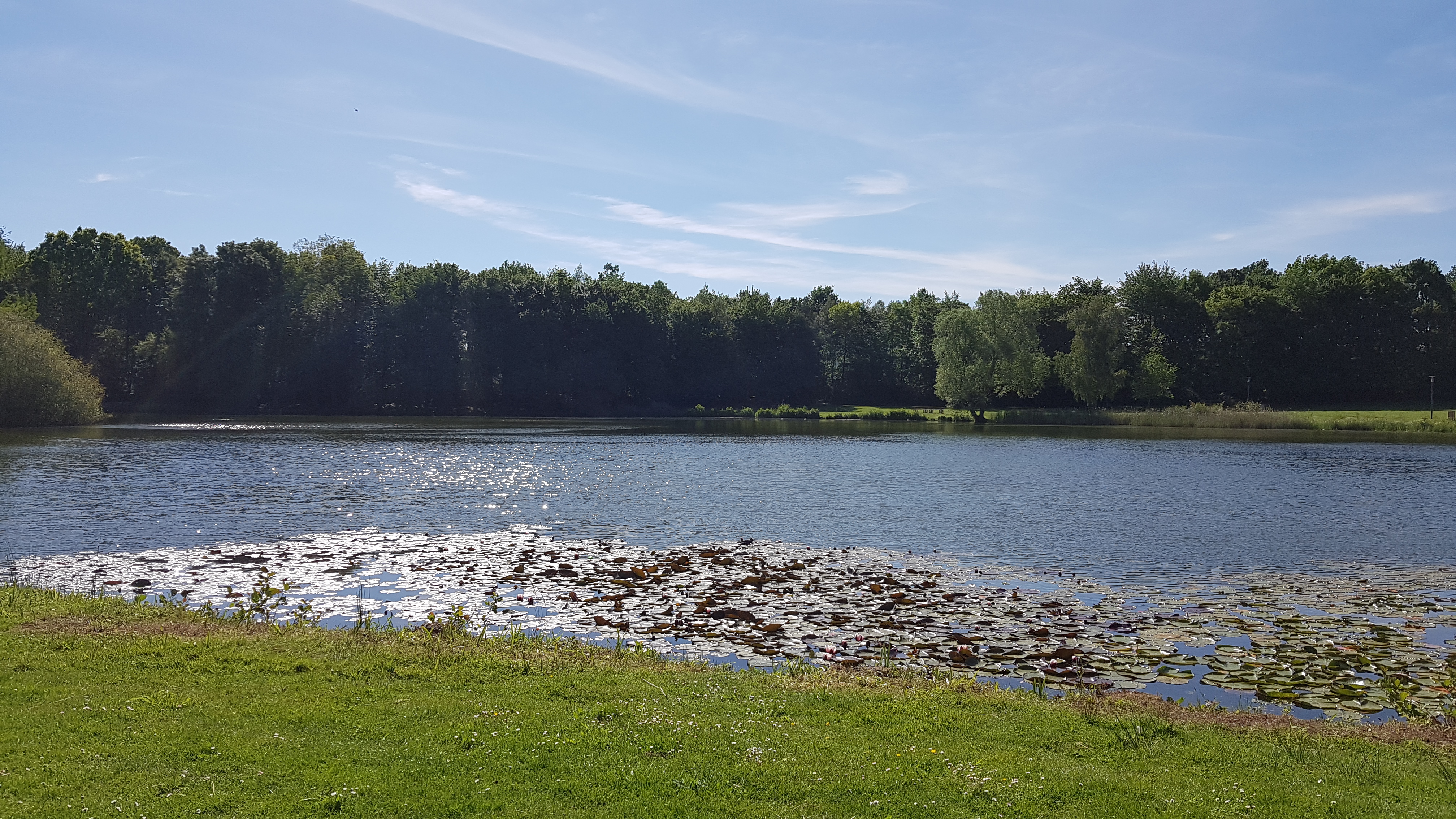 Photo n° 4 de l'avis de emmanuel.i fait le 15/05/2019 à 05:22