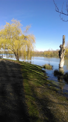 Club de Tir Saint-Gaudinois à Saint-Gaudens
