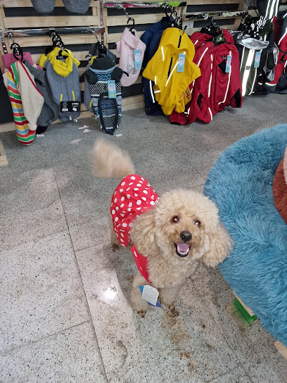 Inmacan Peluquería Canina - Servicios para mascota en Sevilla