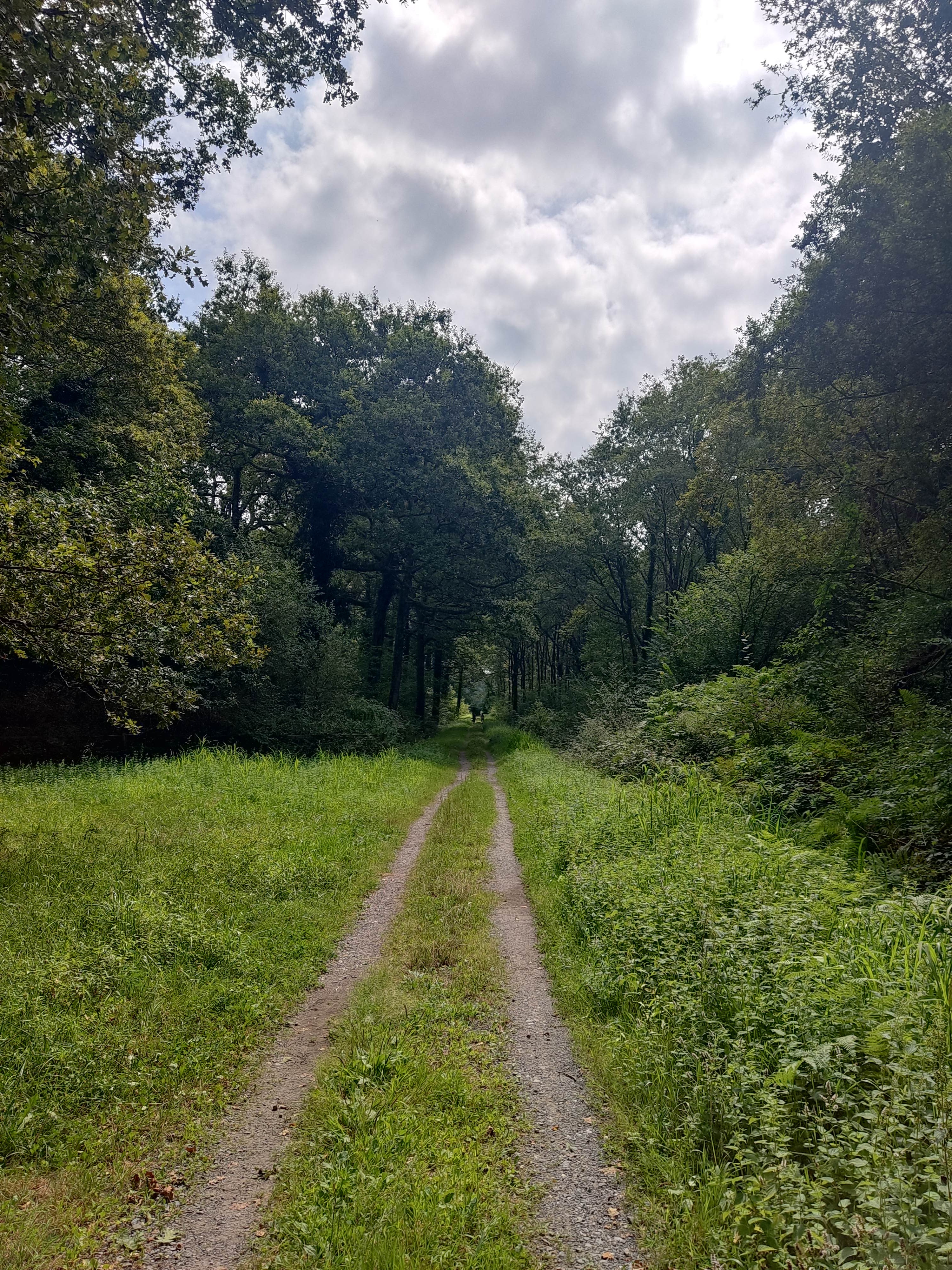 Photo n° 1 de l'avis de julien.a fait le 17/08/2023 à 19:33