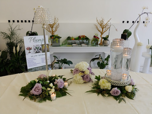 Florist «Plump Chicago Flower Shop», reviews and photos, 411 E Oakwood Blvd, Chicago, IL 60653, USA