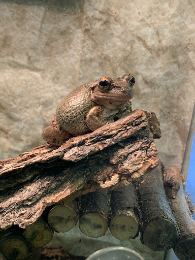 Pet Groomer «Animal Kingdom Grooming», reviews and photos, 339 S Santa Fe Ave, Pueblo, CO 81003, USA