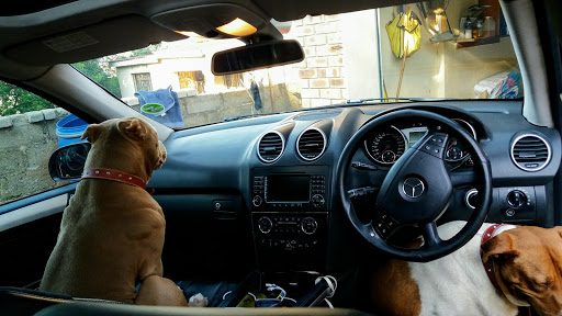 Tobacco Shop «Pitbull Tobacco & More», reviews and photos, 154 S Rosemont Rd, Virginia Beach, VA 23452, USA